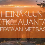 Marraskuun Retkilauantain banneri, jossa teksti Retkilauantain teemasta: treffataan metsässä