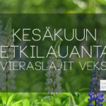 Kesäkuun Retkilauantain banneri, jossa teksti Retkilauantain teemasta: vieraslajit veks!