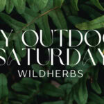 Outdoor Saturday Banner